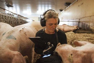 3M PELTOR Gehörschützer Stereo-FM-Radio – Bild 2