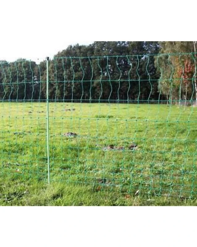 Euro-Netz Geflügel 112 / 2 Grün – Bild 3