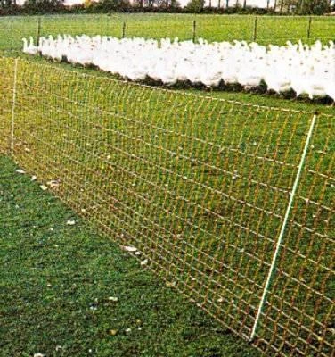 Euro-Netz Geflügel 112 / 2 Jumbo – Bild 3