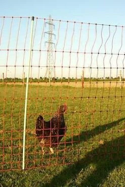 Euro-Netz Geflügel 112 / 2 Jumbo