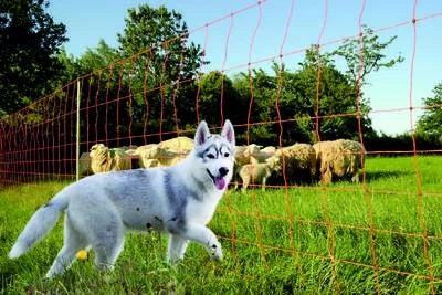 Euro-Netz "Wolf" 120 / 2, 145 / 2 Jumbo – Bild 5