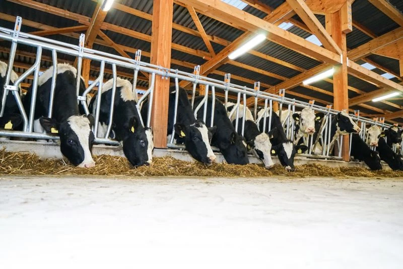 LED Feuchtraumleuchte Farm Line – Bild 3