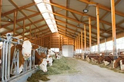 LED-Hallenstrahler – Bild 2